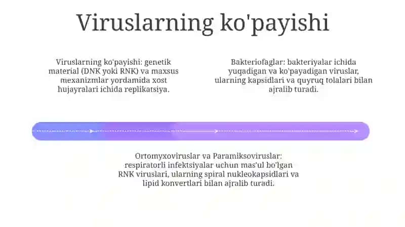 Viruslar,Bakteriofaglar Morfologiyasi,Strukturasi,Reproduksiyasi 3