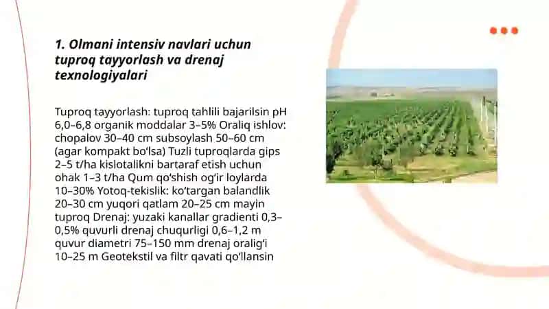 Olmani intensiv navlarini parvarish qilish texnologiyalari 3