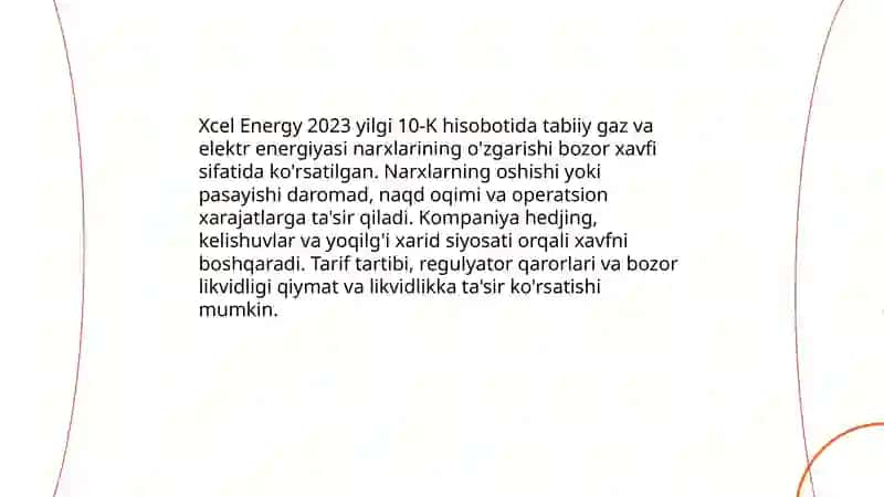 Xcel Energy 10 k 2023 hisoboti xavf omillari va risklari 3