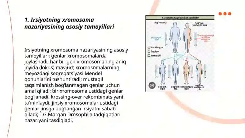 Irsiyotning xromosoma nazariyasi 3
