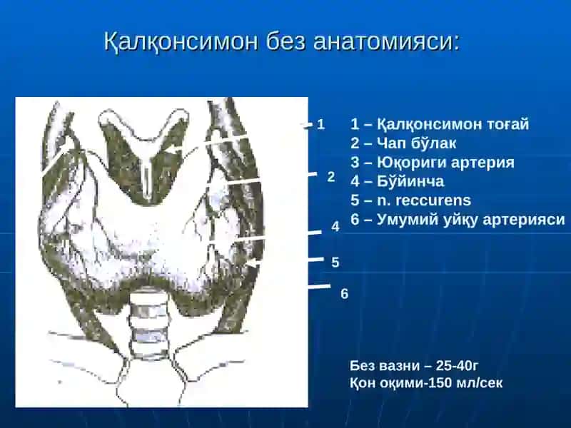 Qalqonsimon bez kasalliklari 3