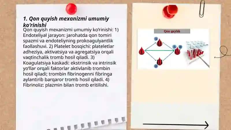 Qon quyish mexanizmi 3