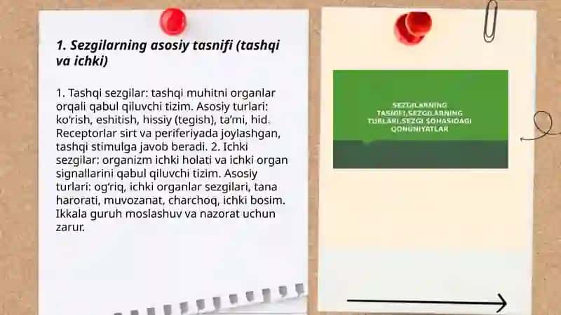 Sezgilarning tasnifi, sezgilarning turlari, sezgi sohasidagi qonuniyatlar 3