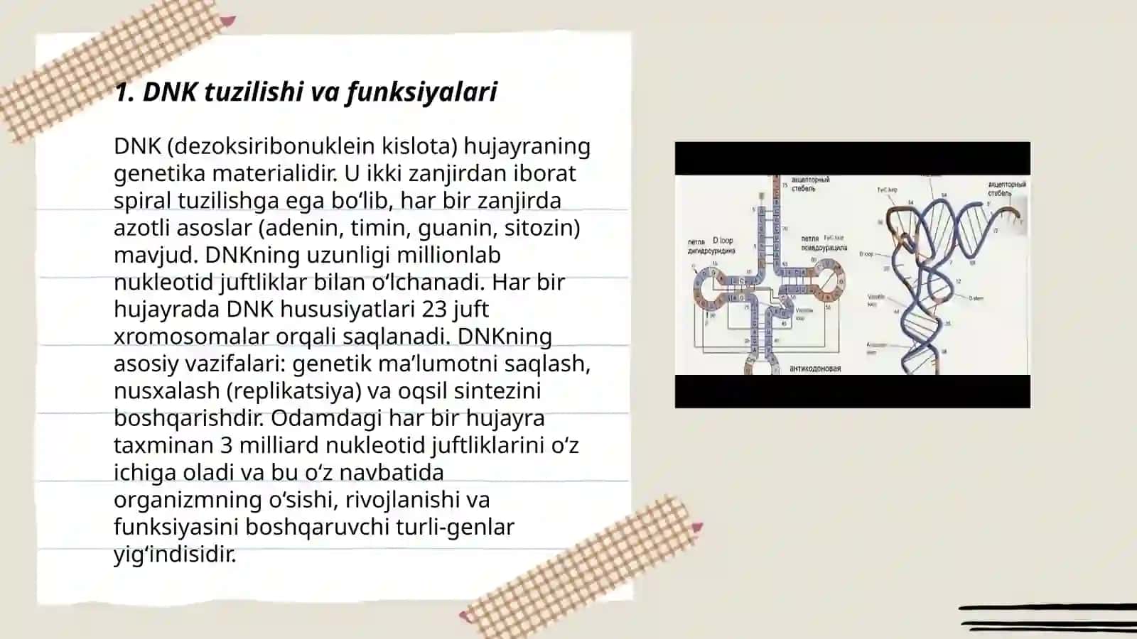 DNK va RNK turlari nukleotidlar sintezi 3