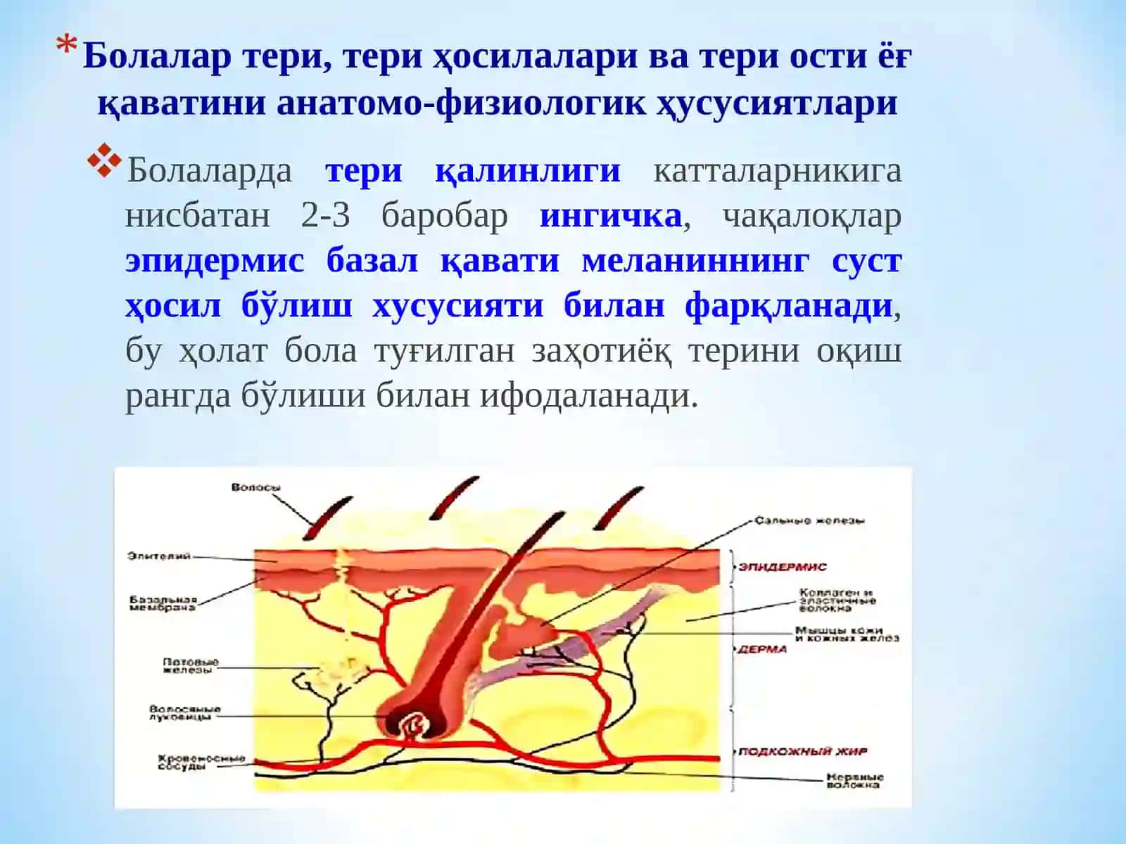 БОЛАЛАРДА ТЕРИ ВА УНИНГ ҲОСИЛАЛАРИ, ТЕРИ ОСТИ ЁҒ ҚАВАТИ, ШИКАСТЛАНИШ СЕМИОТИКАСИ 3