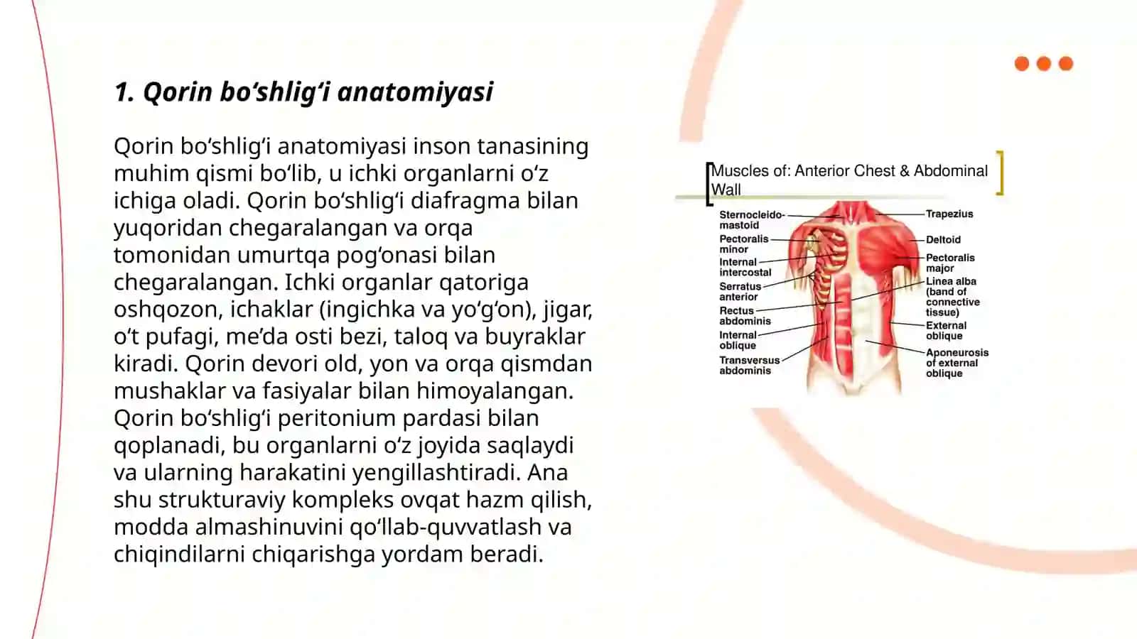 Qorin bo‘shlig‘i yuzaki va chuqur palpatsiyasi 3