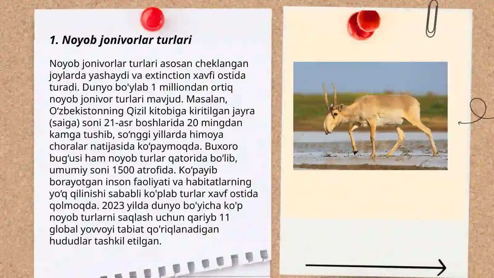 Noyob jonivorlar turli 3