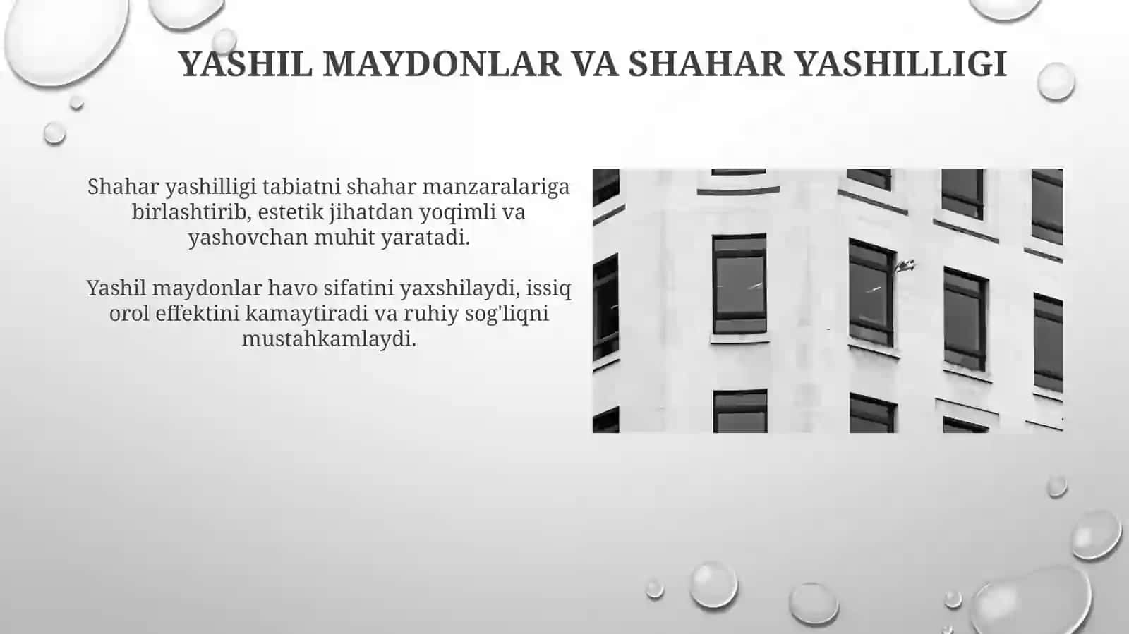 Yashil Maydonlar va Shahar Yashilligi 3