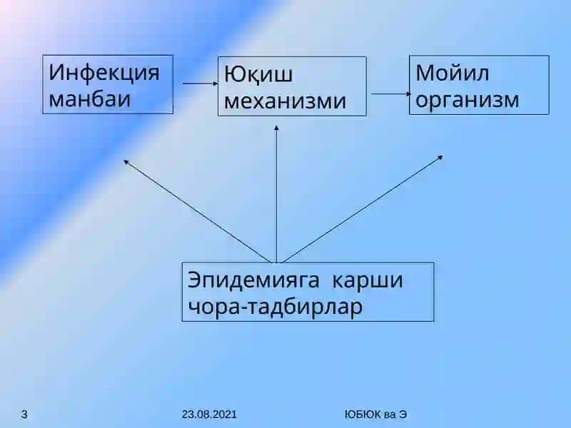 АбуАли ибнСинономидаги Бухоро давлат тиббиёт институти 3