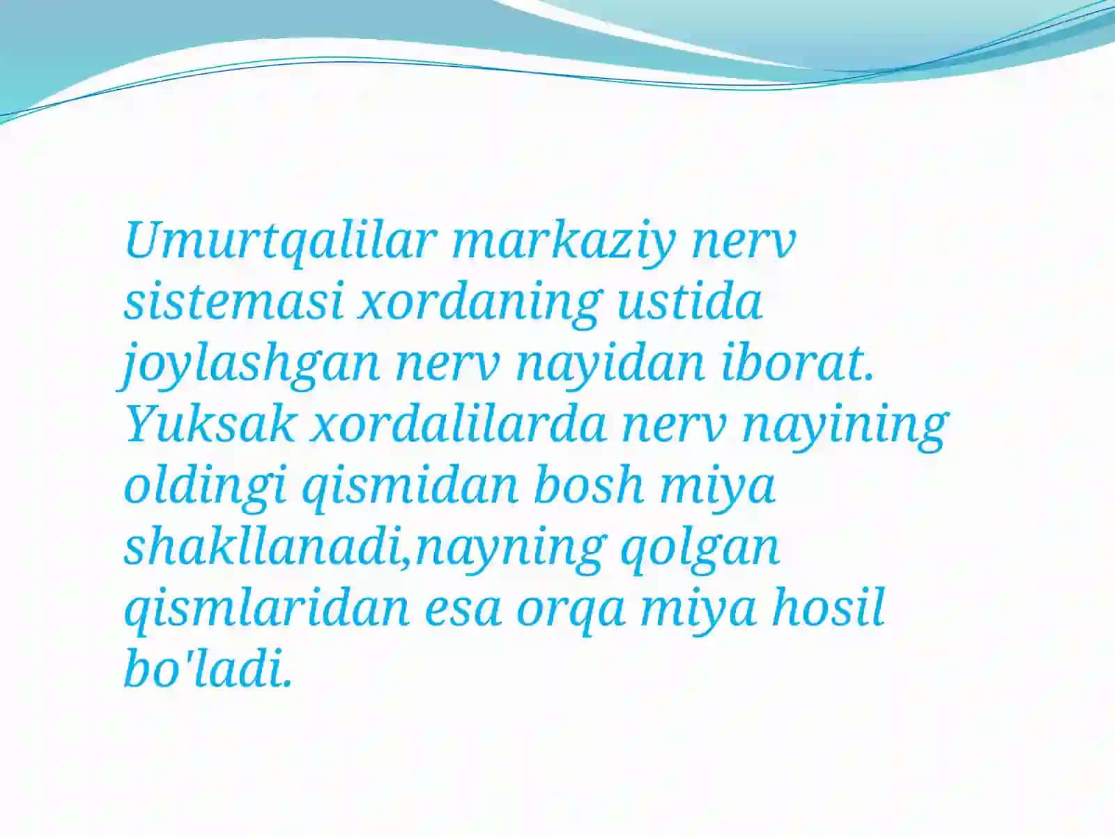 Umurtqalilarmarkaziyasabtiziminingtuzilishi 3