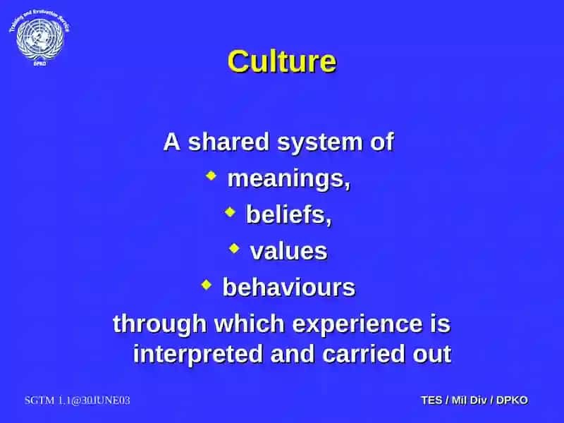 Cultural Awareness 3