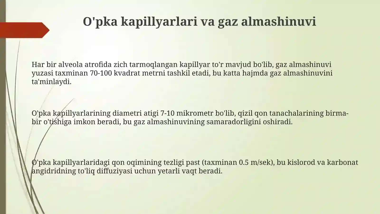 O'pka qon aylanishining umumiy tavsifi 3