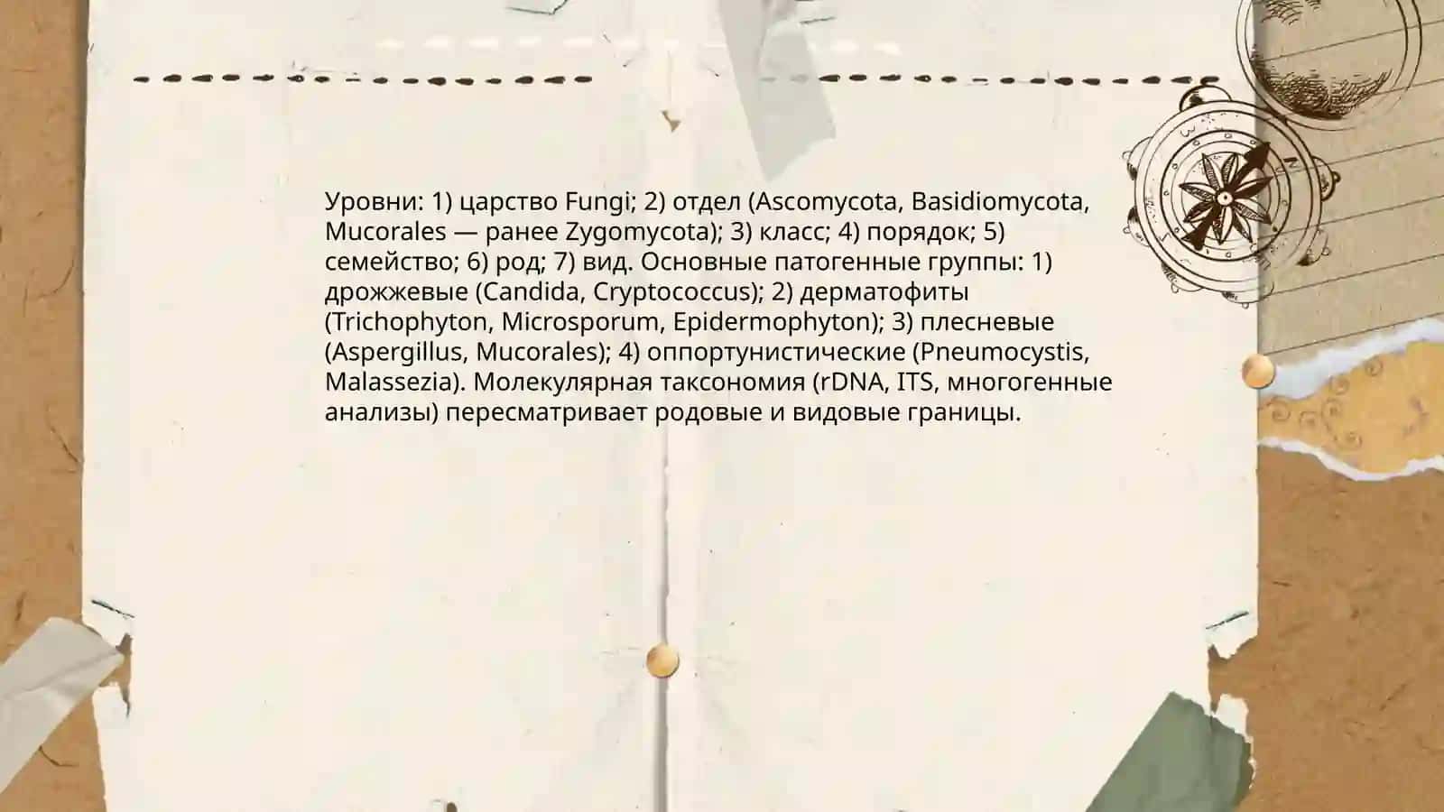 Возбудители грибковых болезней, патогенез, лабораторная диагностика 3