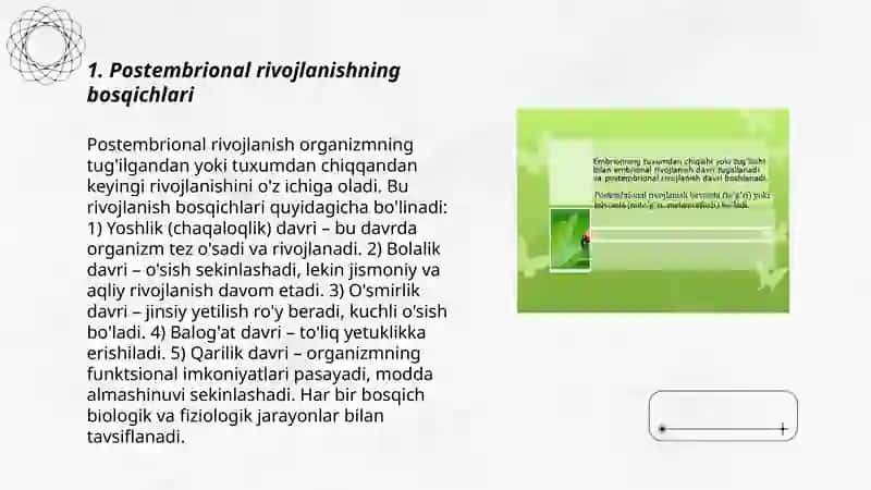 Postembrional rivojlanish 3