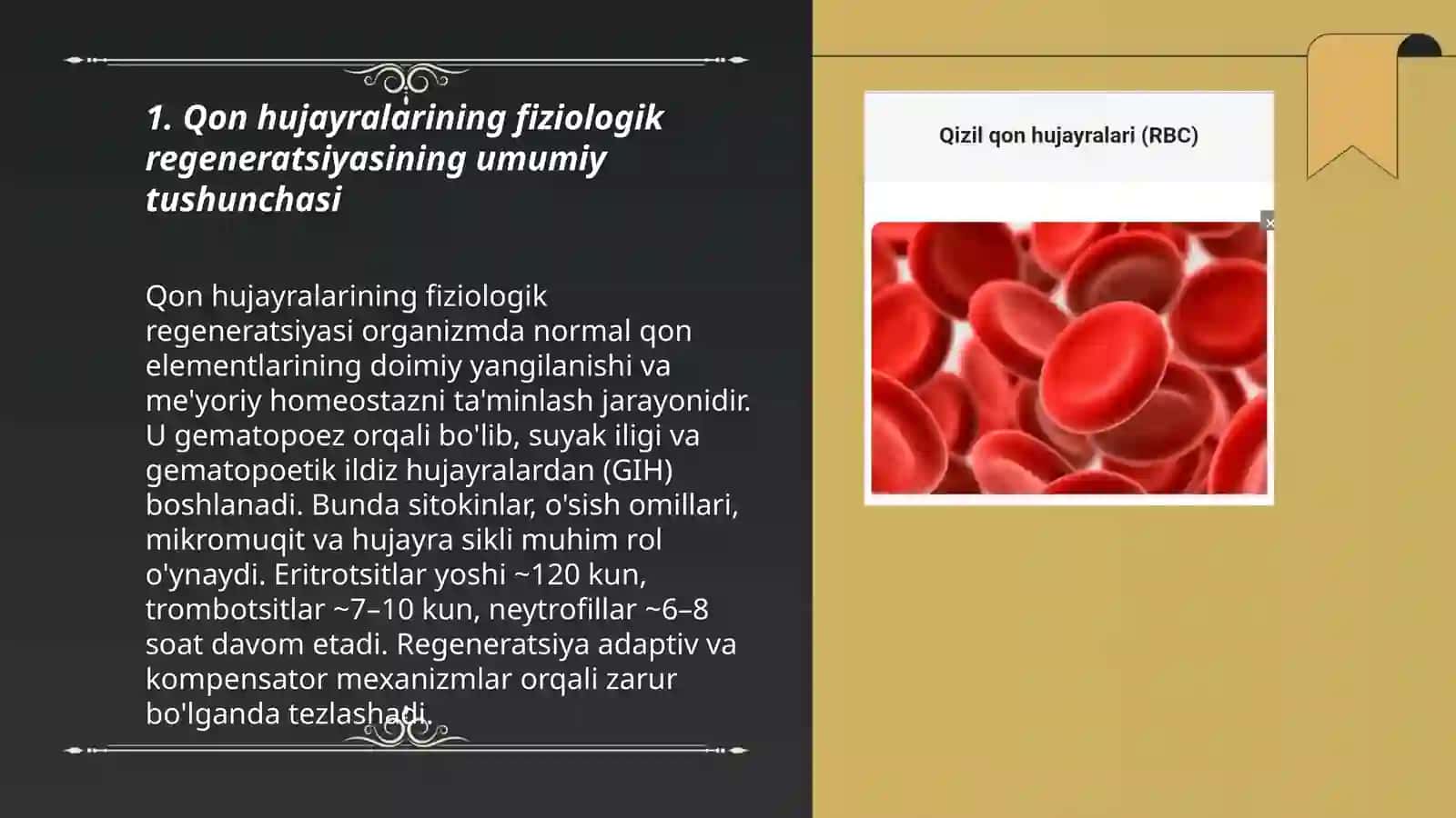Qon hujayralarining fiziologik regeneratsiyasi 3