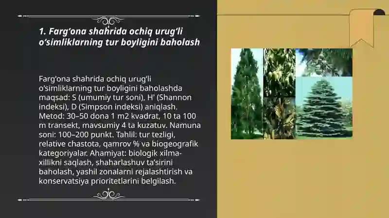 Farg'ona shahridagi ochiq urug'li osimliklar 3