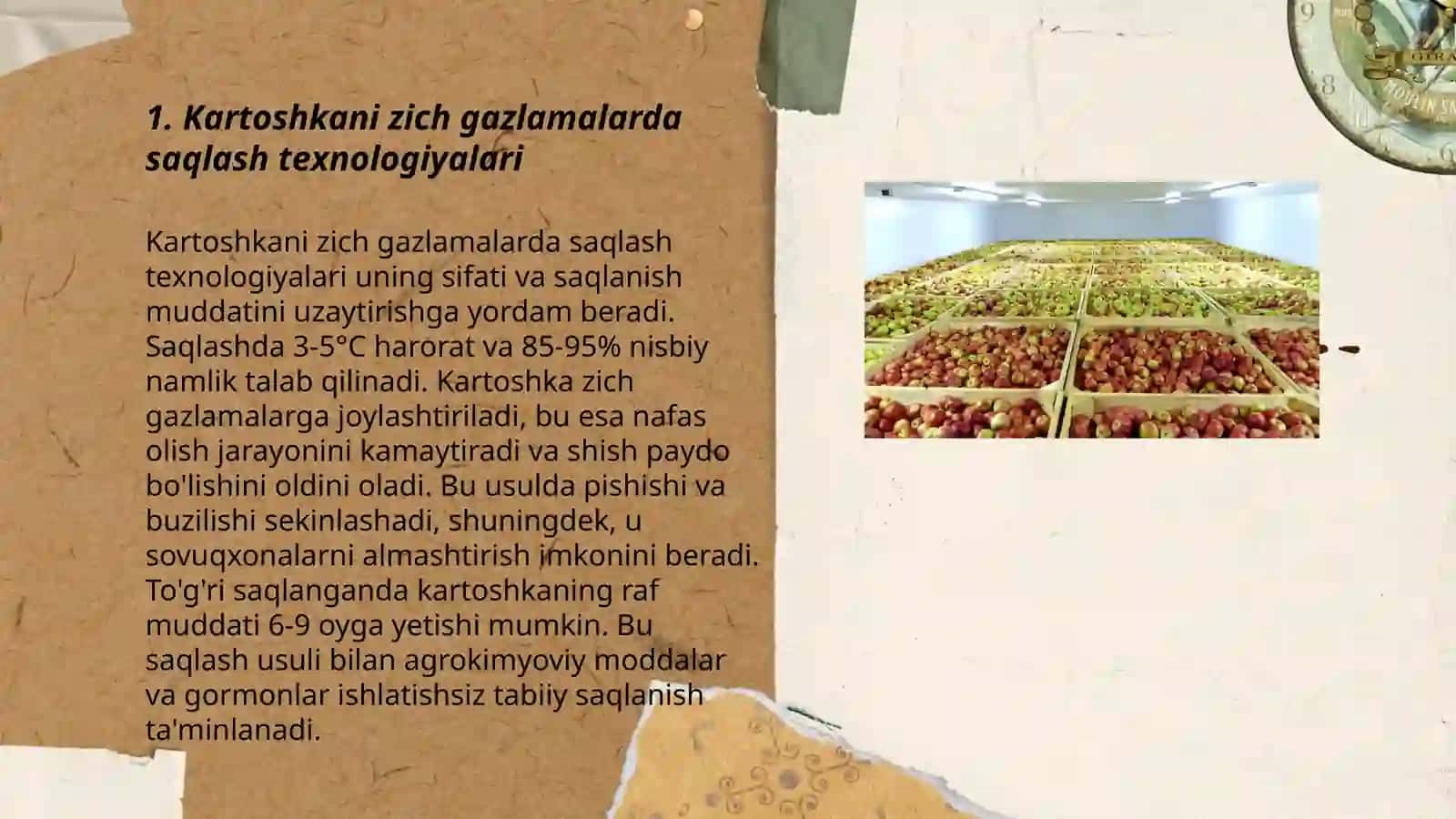 Kartoshkani zich gazlamalarda saqlash texnologiyalari 3