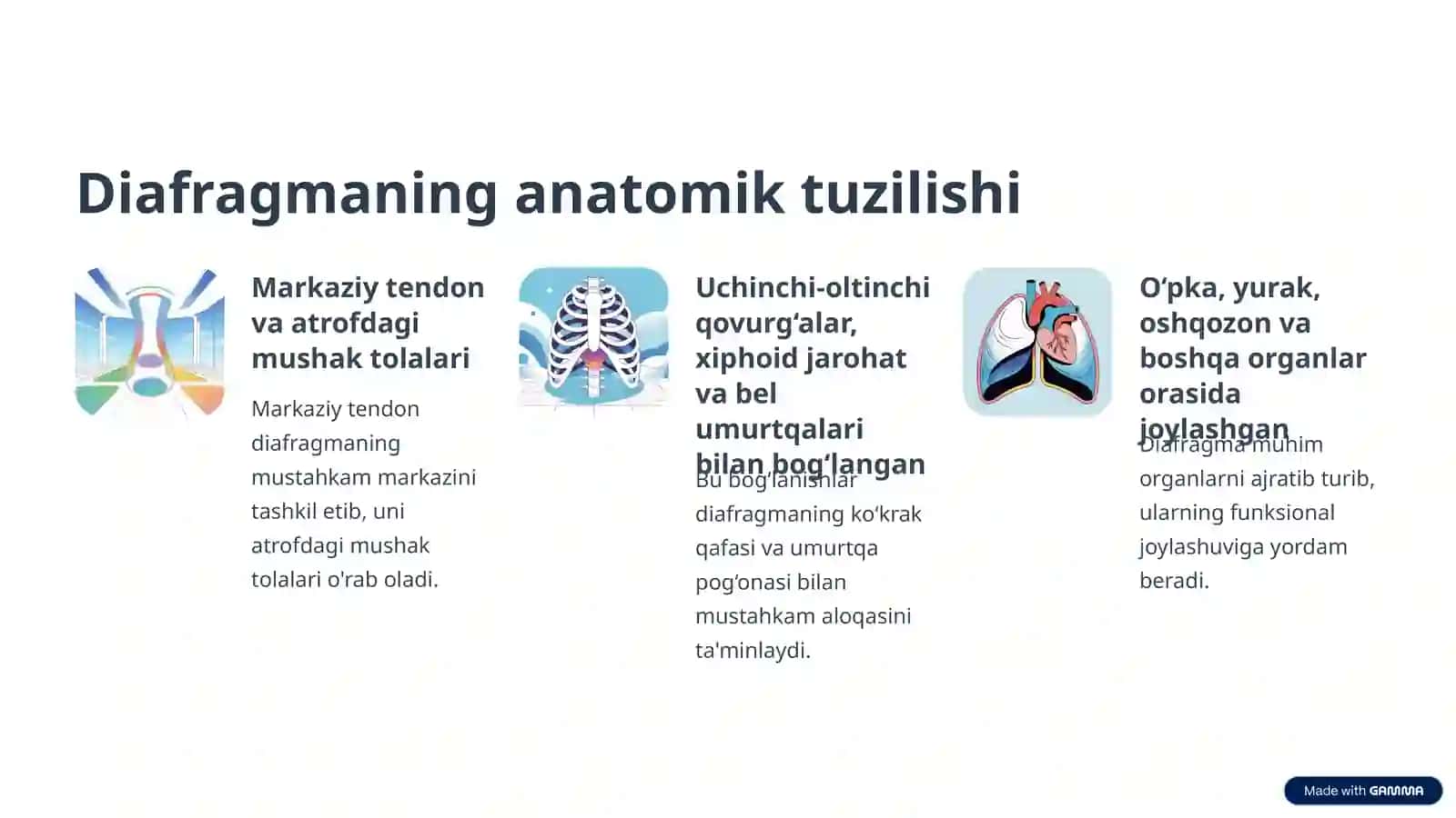 Diafragma Mushaklari Fiziologiyasi 3