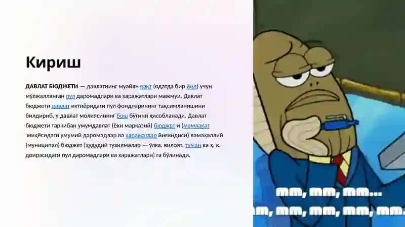 Давлат бюджети 3