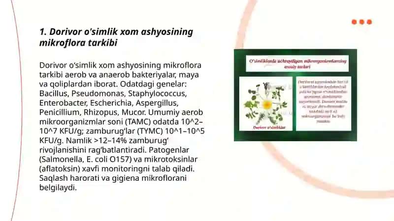 Dorivor o'simliklar xom ashyosining mikloflorasi 3