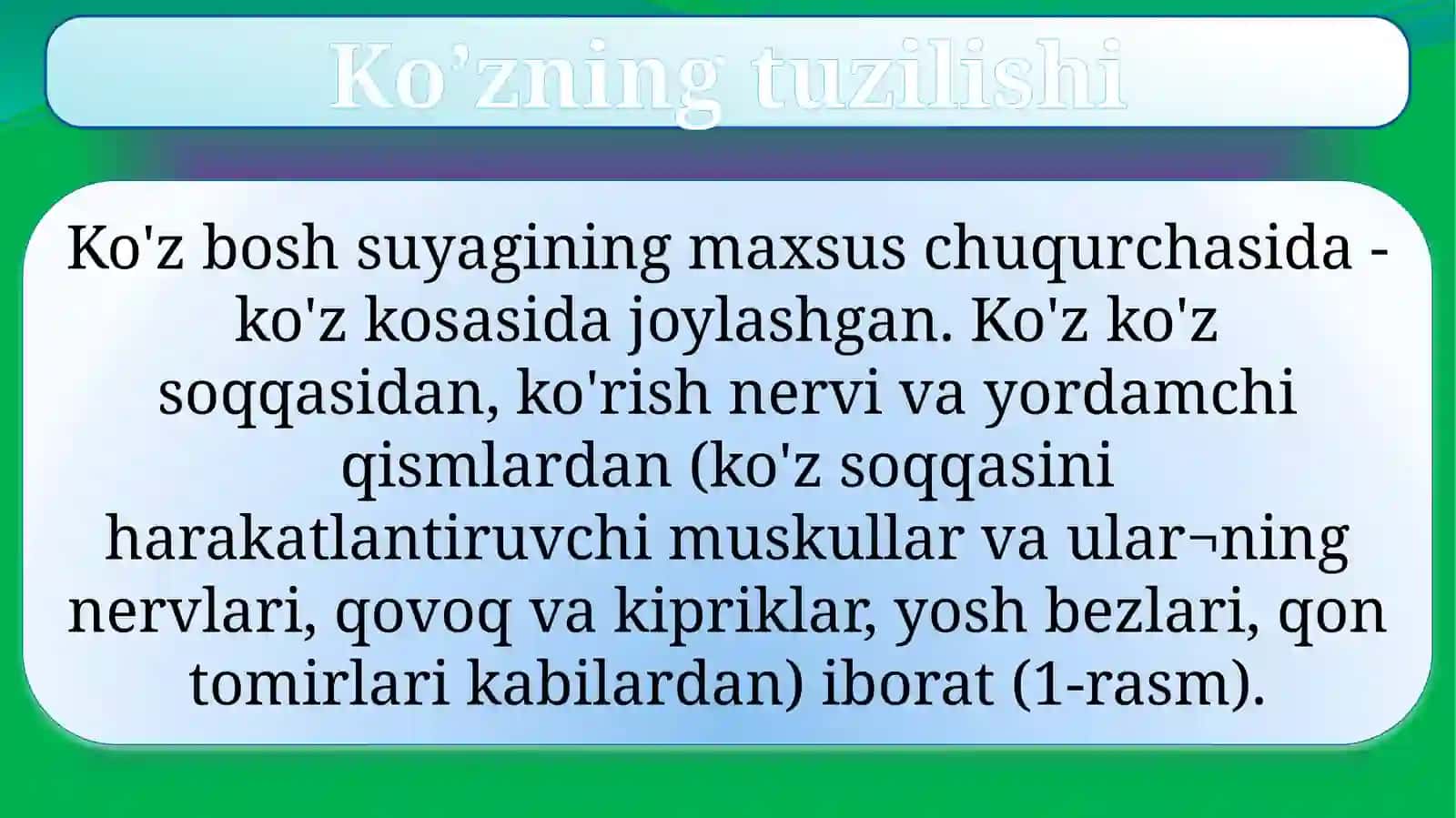 Ko’zning tuzilishi va funksiyasi 3