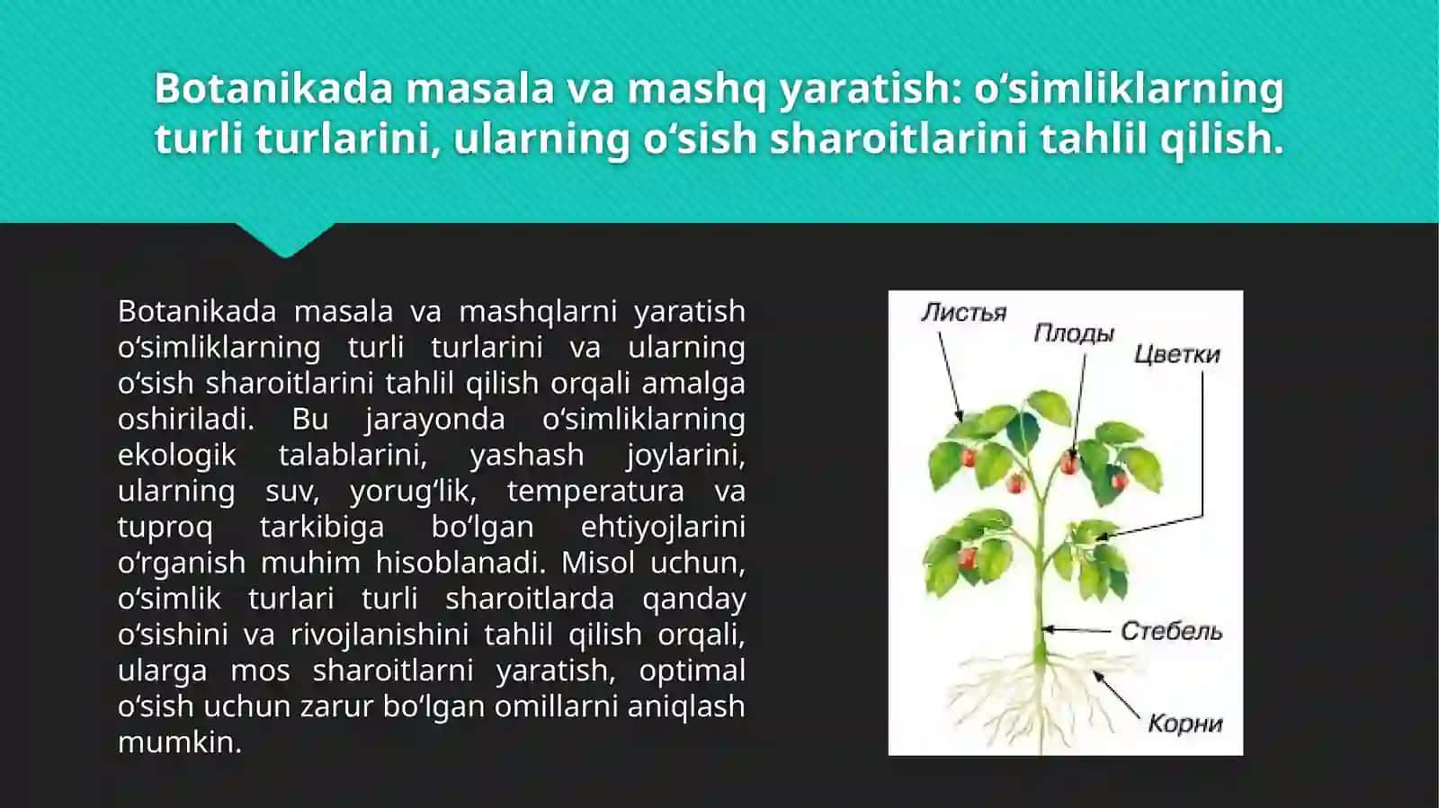 Botanika dan masala mashq Krasvord va rebuslar 3
