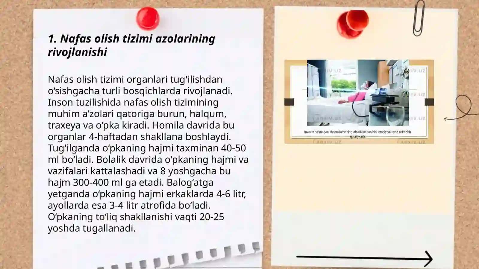 Nafas olish tizimi azolarining qiyosiy gistalogik tavsifi 3