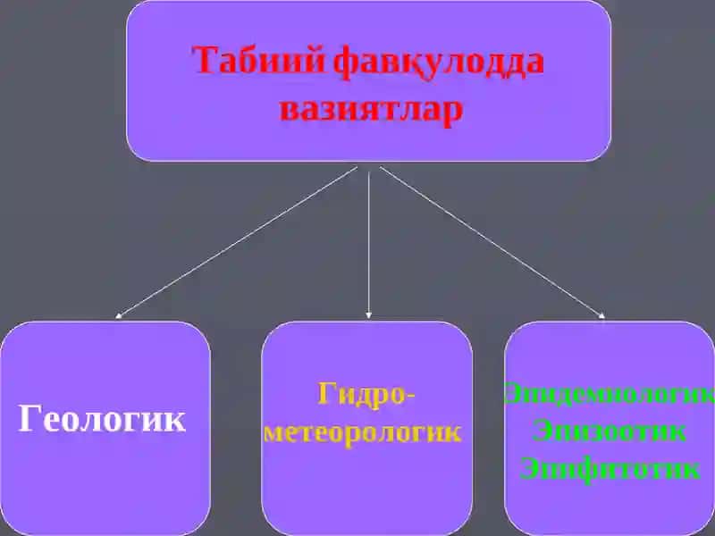 Favqulodda vaziyatlar, ularning turlari va xususiyatlari 3