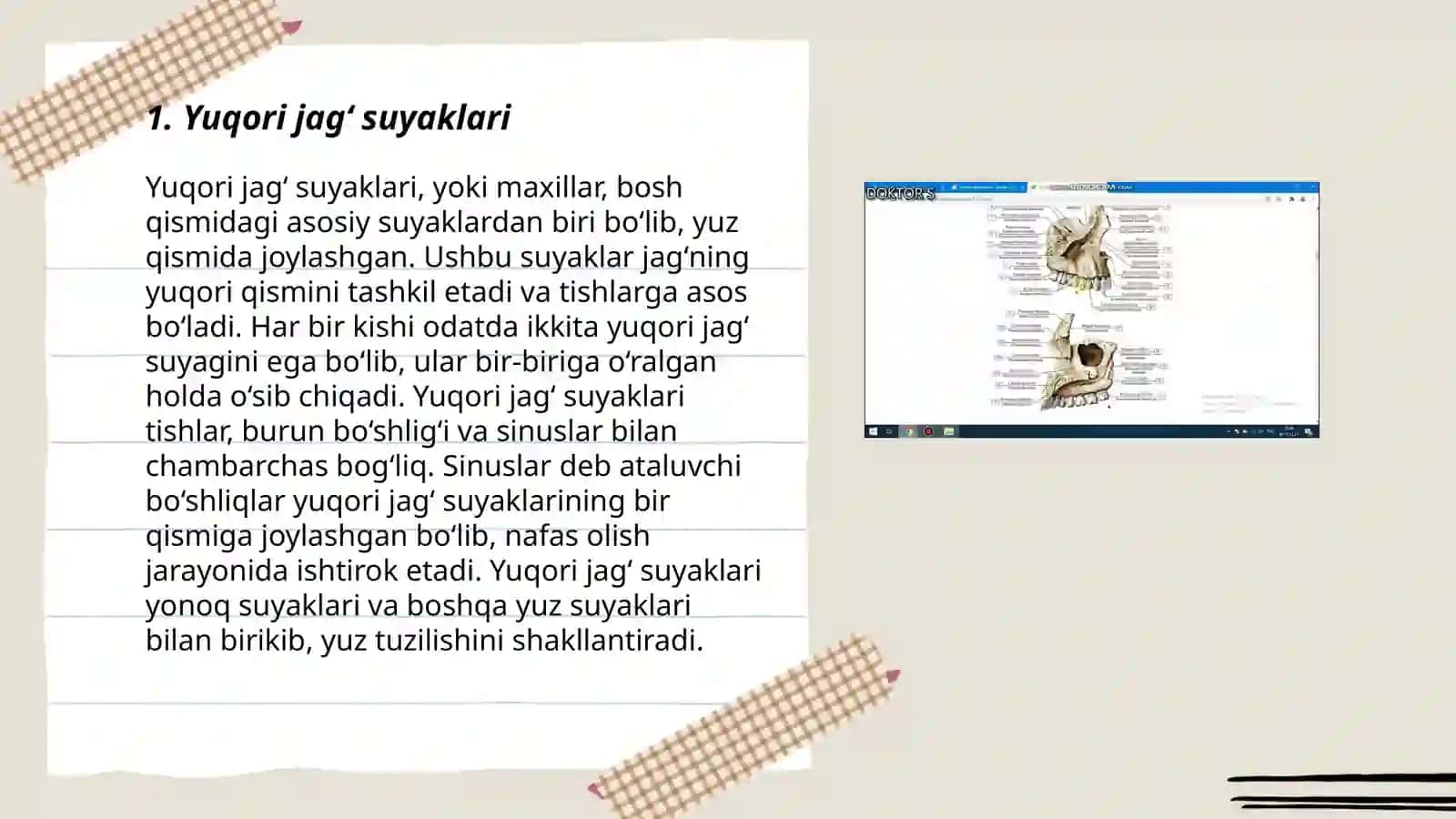 Kallaning yuz boʻlimi suyaklari 3
