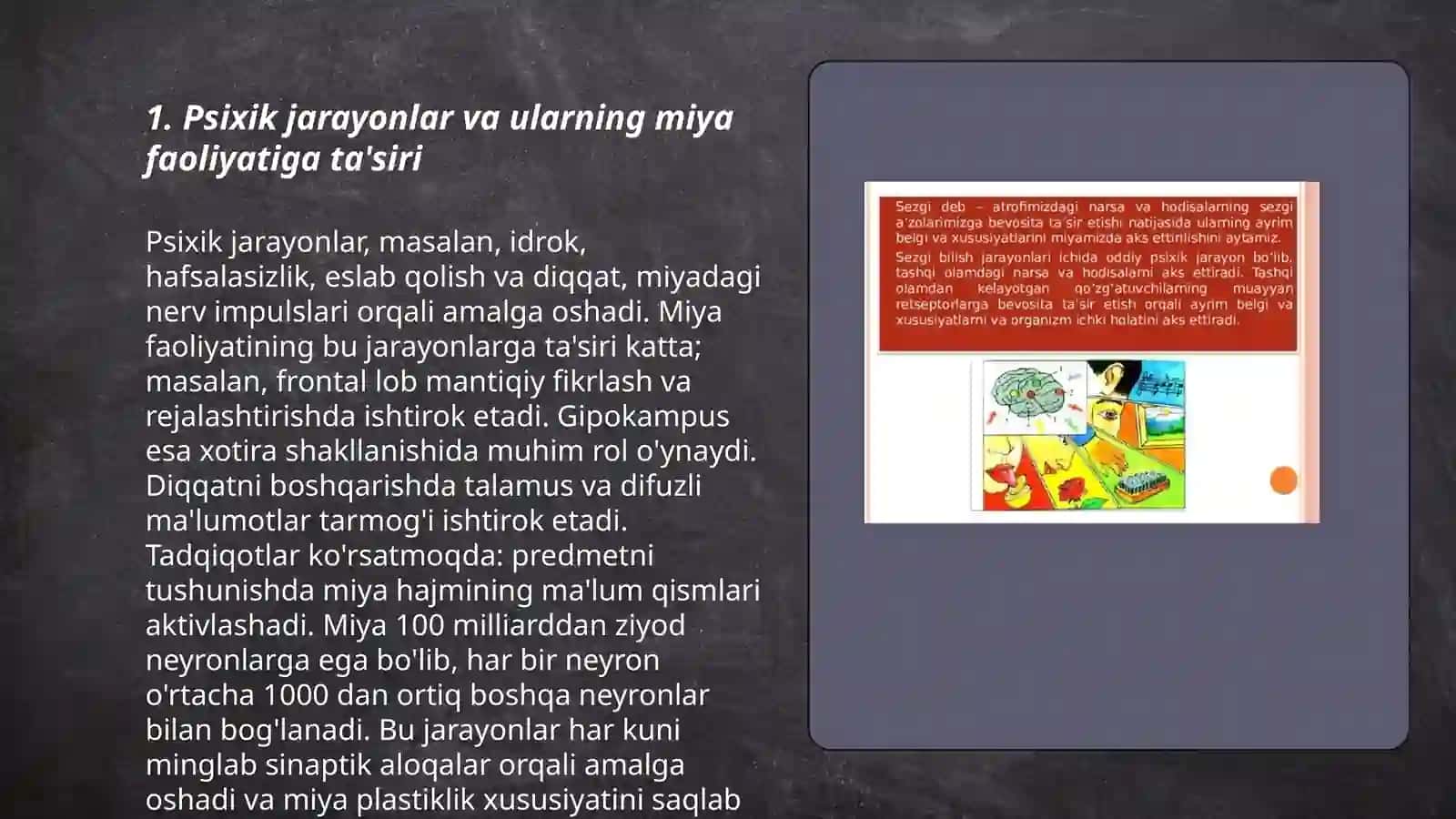 Psixik jarayonlar va miyaning oʻzaro aloqadorligi 3