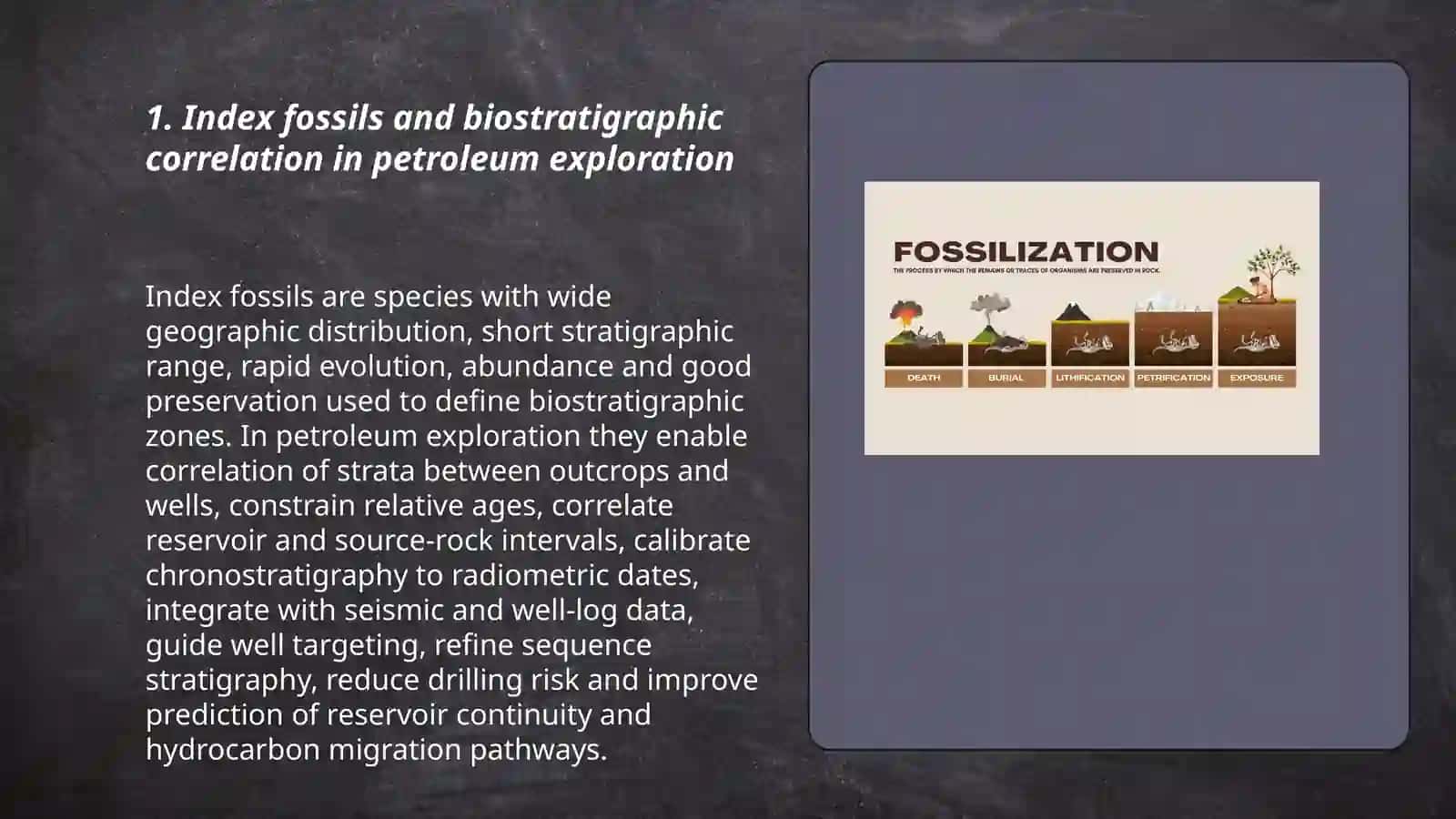 The Role of Fosills in petroleum geology 3