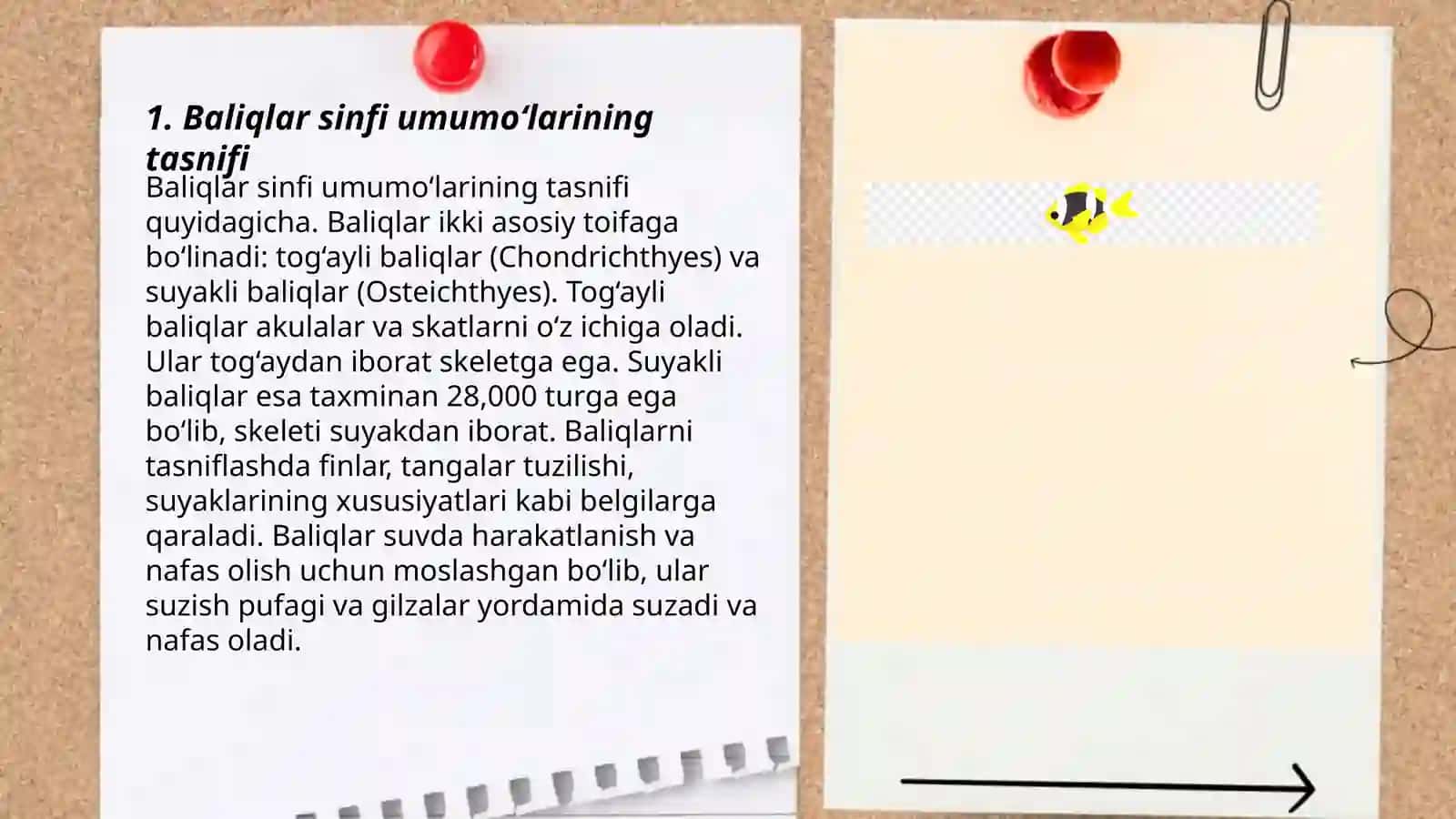 Baliqlar sinfi. Tashqi va ichki tuzilishi 3