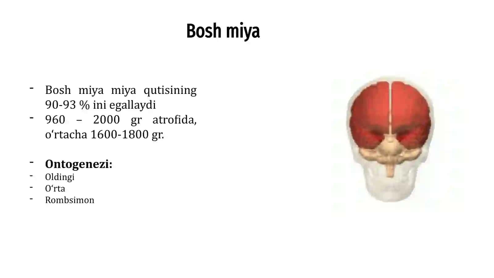 Nerv tizimi, tuzilishi, fiziologiyasi 3
