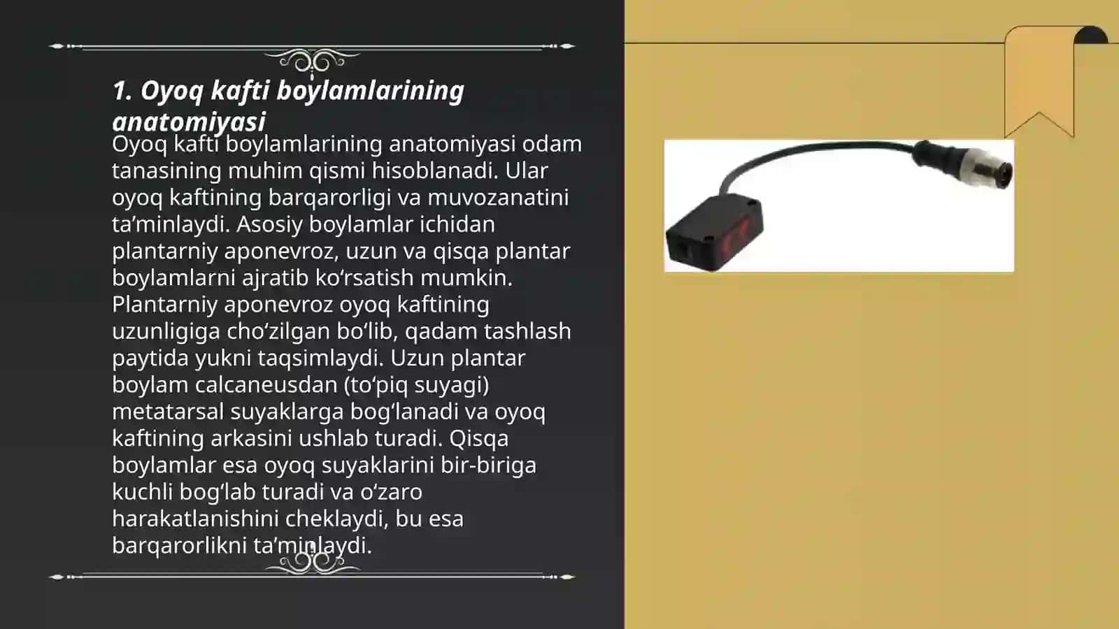 Oyoq kafti boylamlari 3