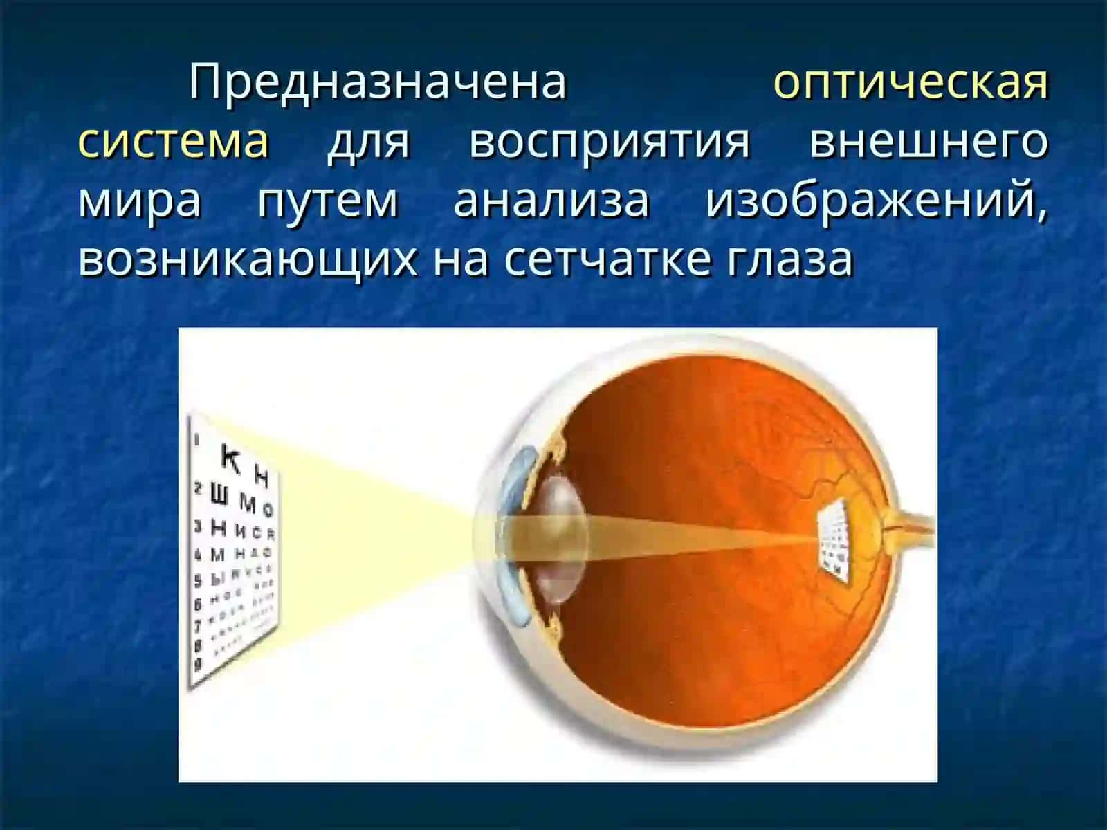 ФИЗИОЛОГИЧЕСКАЯ ОПТИКА.ВИДЫ РЕФРАКЦИИ ГЛАЗА 3