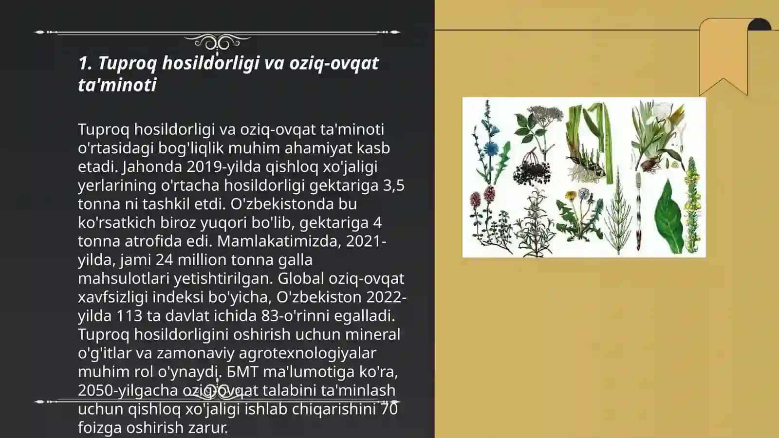 Tuproqlarning inson hayotidagi roli 3