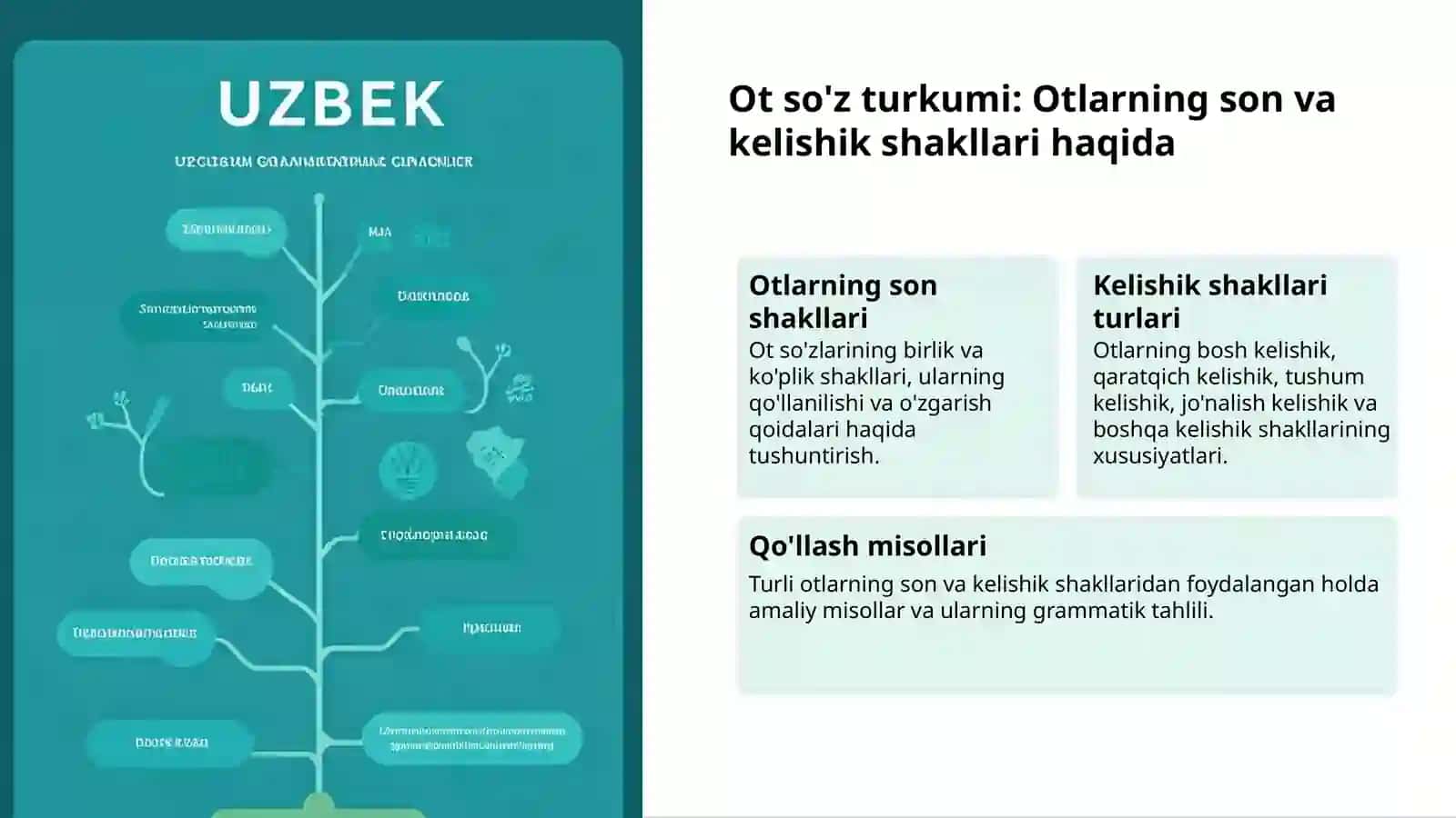 Ot so'z turkumi: so'zlar oilasi 3