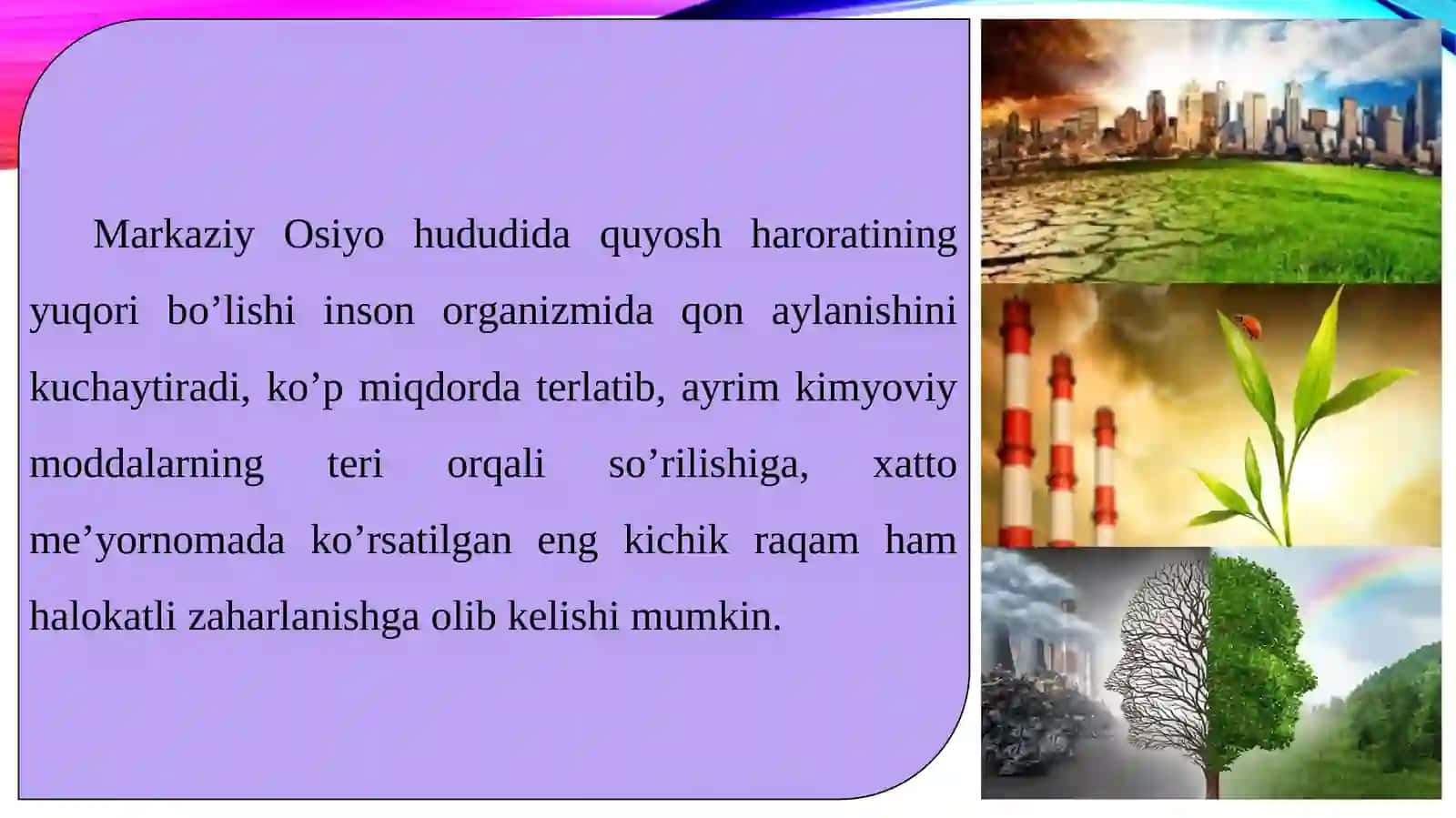 Aholining sihat-salomatligi uchun qulay sharoit yaratish 3