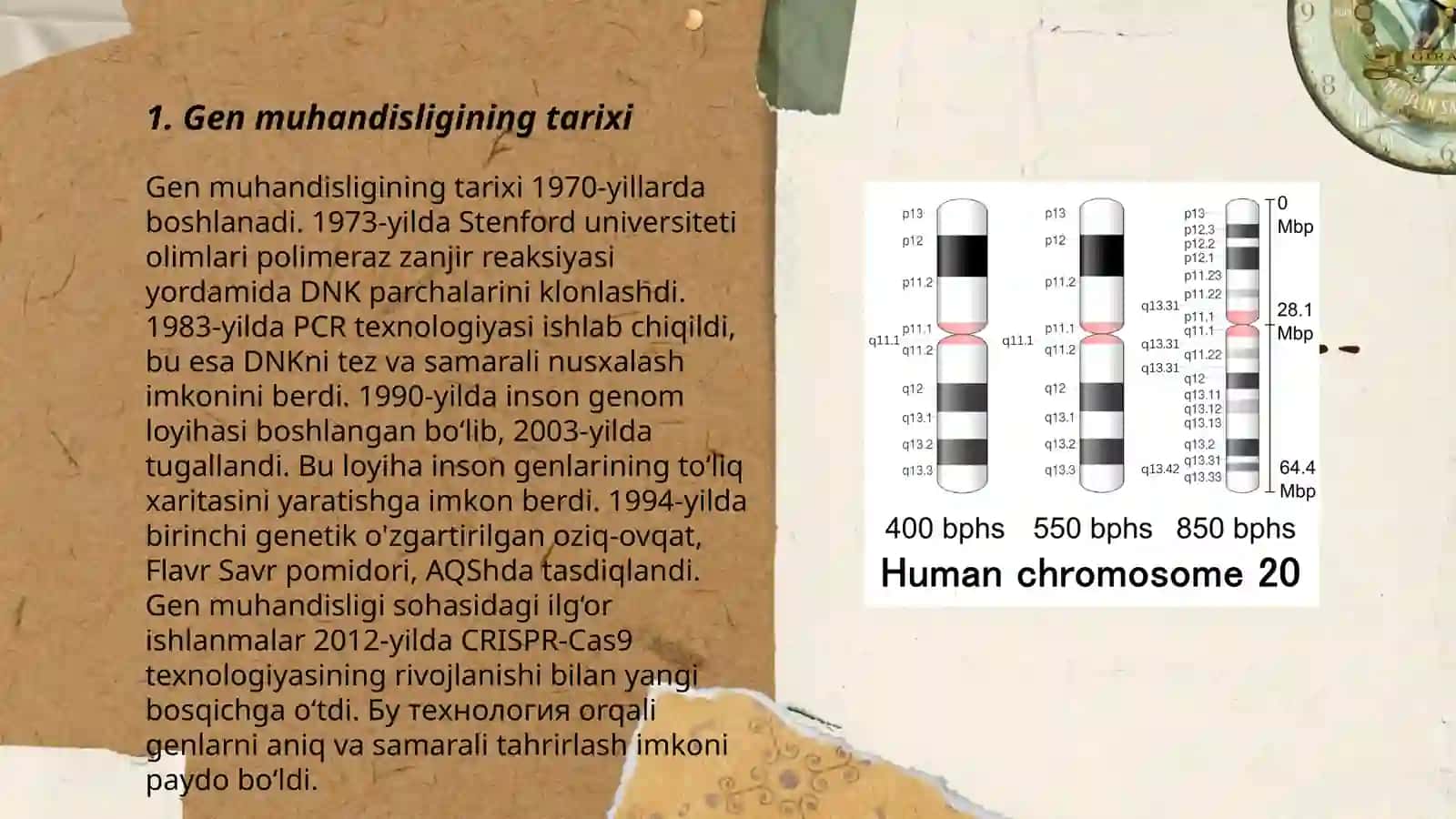 Gen muhandisligi va uning zamonaviy yutuqlari 3