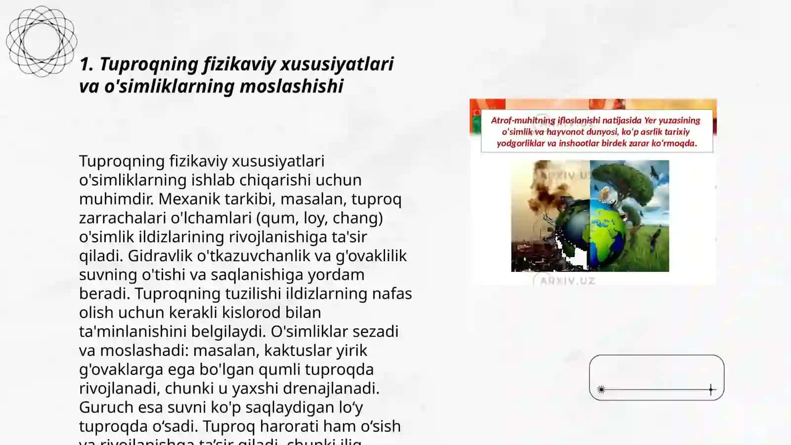 Tuproq muhitiga organizmlarning moslashishi 3