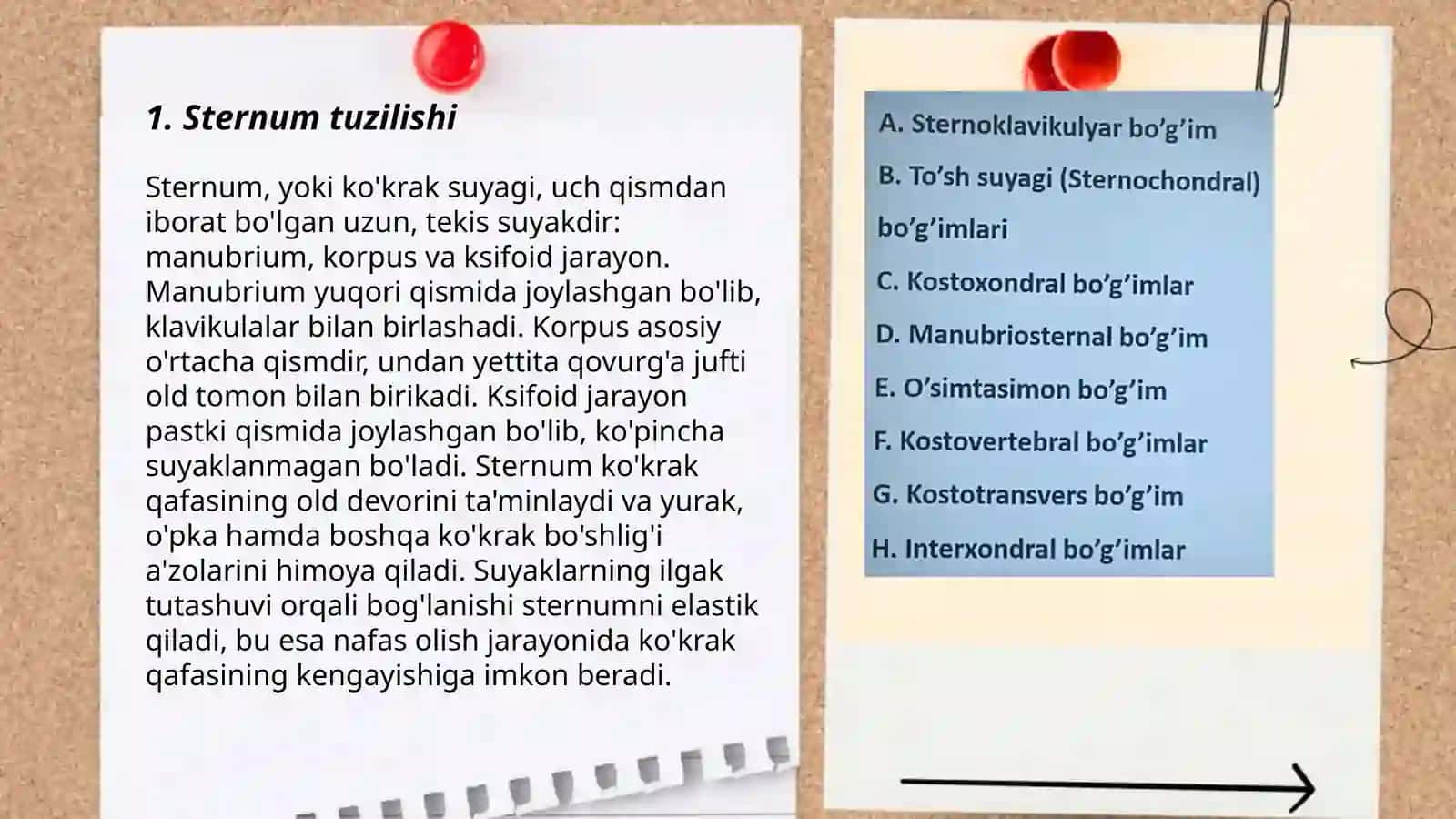 Ko'krak qafasi suyaklari 3