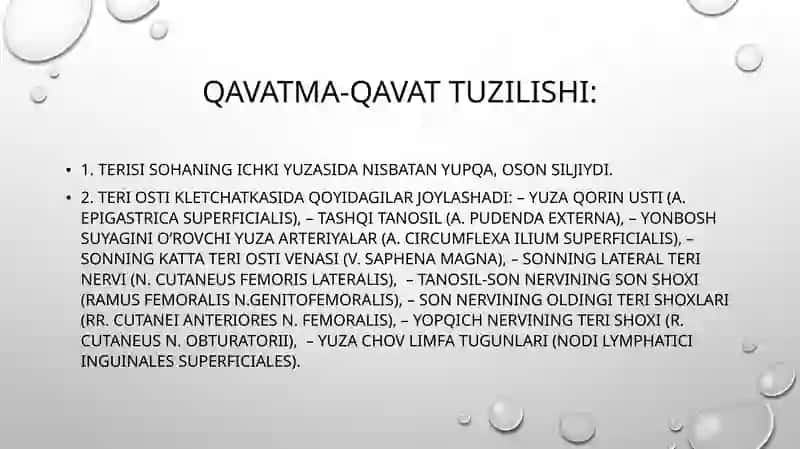 Odam anatomiyasi, oxtakafedrasi 3