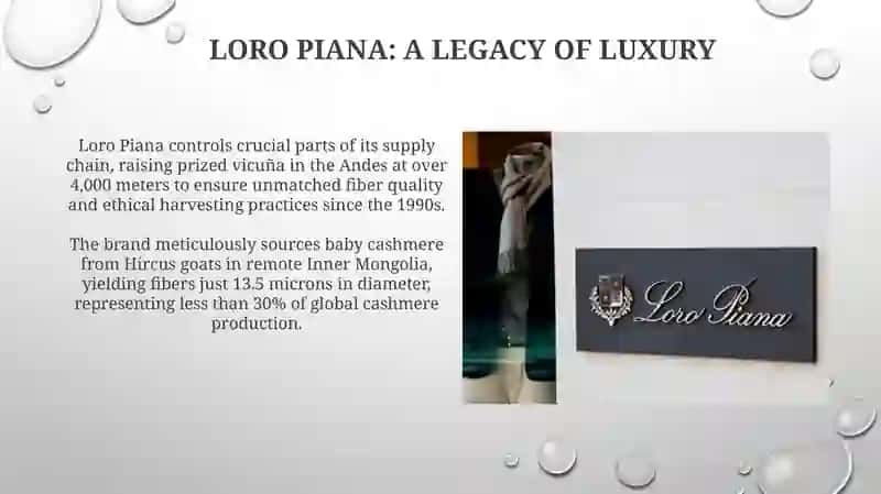 Loro Piana: A Legacy of Uncompromising Quality 3