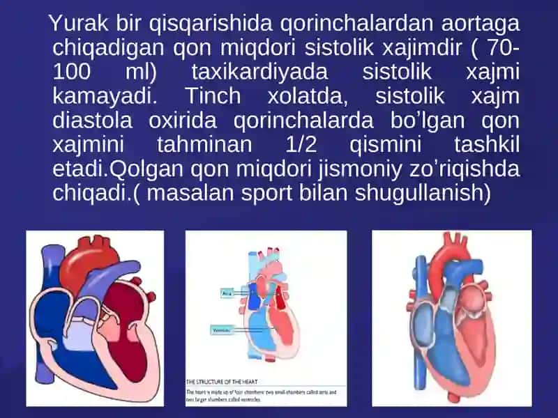 Yurakning boshqaruv mexanizmlari 3