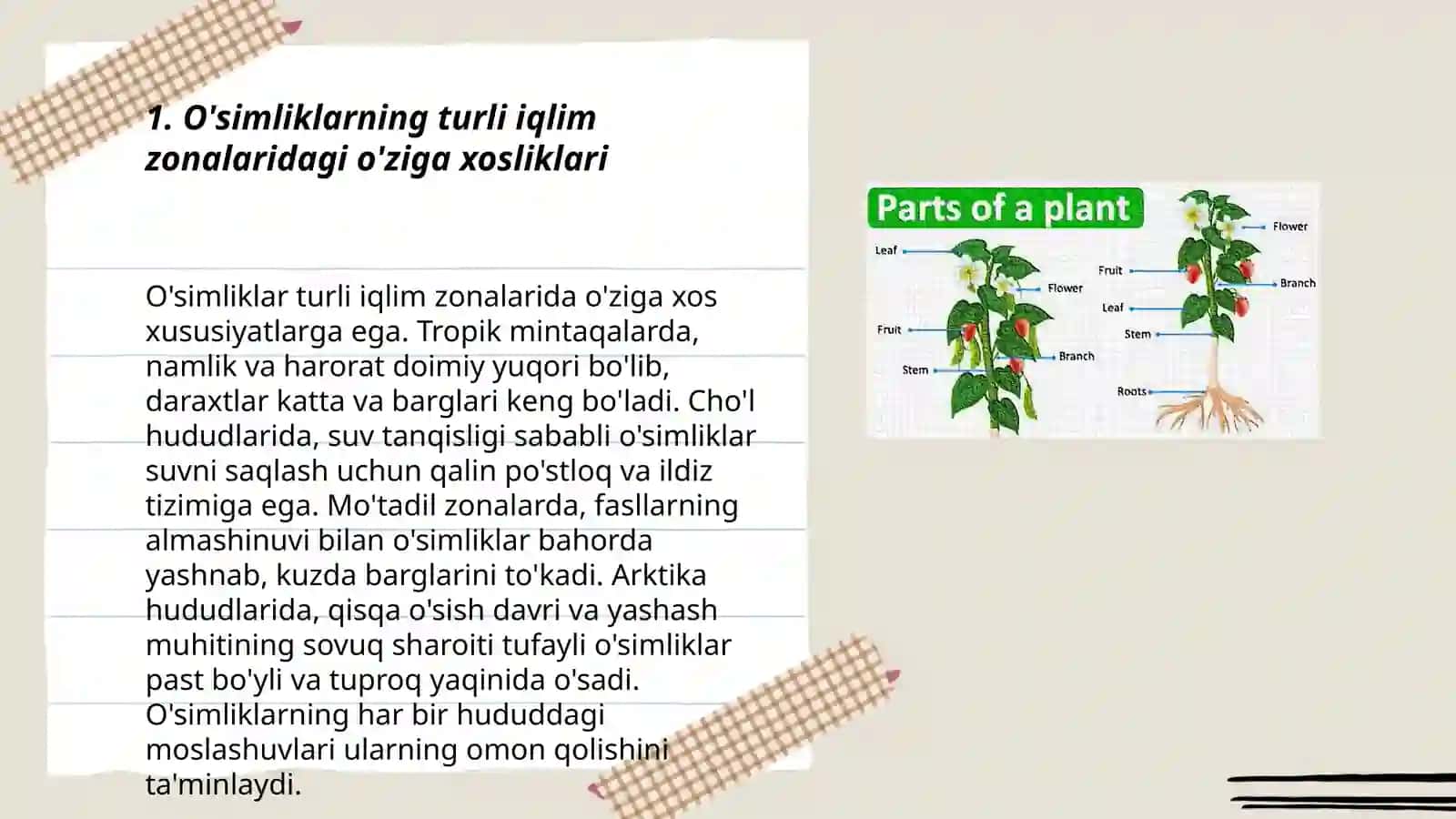 O'simliklarni turli muhit sharoitlarda o’rganish 3