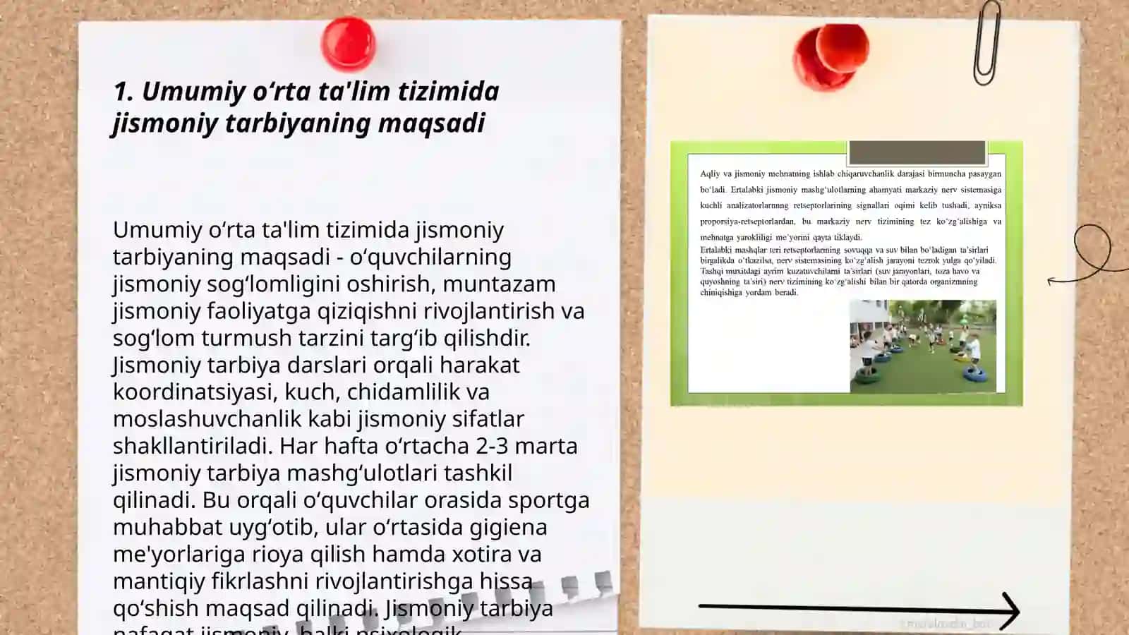 Umumiy oʻrta taʼlim tizimida jismoniy tarbiyani oʻrni va ahamiyati 3