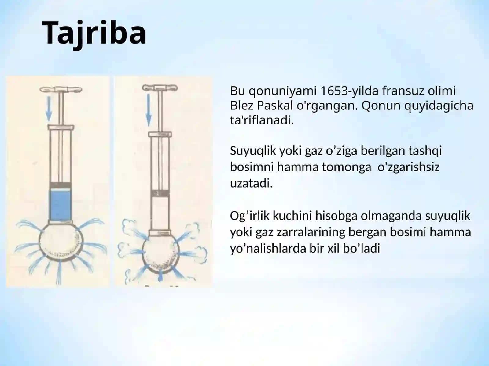 “BOSIM VA UNING BIRLIKLARI” MAVZUSIDAGI TAQDIMOTI 3