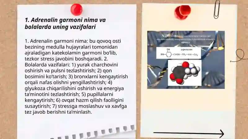 Adrenalin garmoni bolalardagi kasalliklari ahamiyati haqida 3