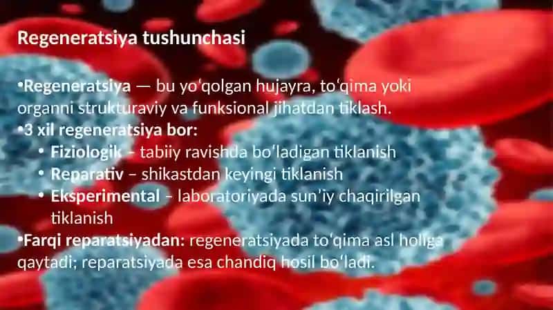 To‘qimalarning fiziologik vareparativ regeneratsiyasi 3