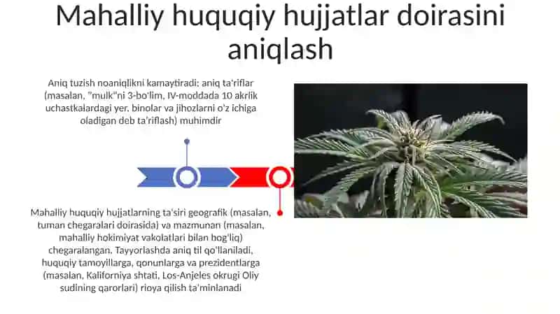 Mahalliy huquqiy hujjatlarning yuridik texnikasi 3
